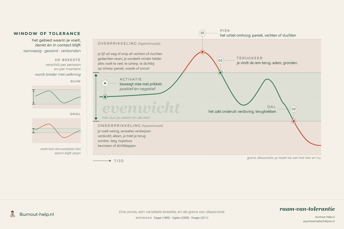 Diagram van het window of tolerance. Een groene horizontale band in het midden staat voor evenwicht; daarboven de zone overprikkeling (hyperalertheid), daaronder de zone onderprikkeling (verstarring). Een golvende lijn loopt over de tijd langs een piek, een terugkeer en een dal.